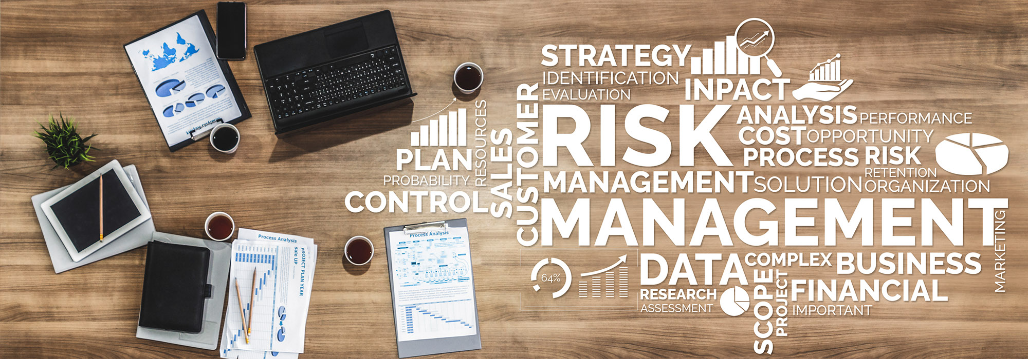 Risk management to avoid crisis
